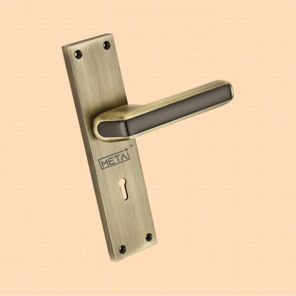 Lyra mortise handle