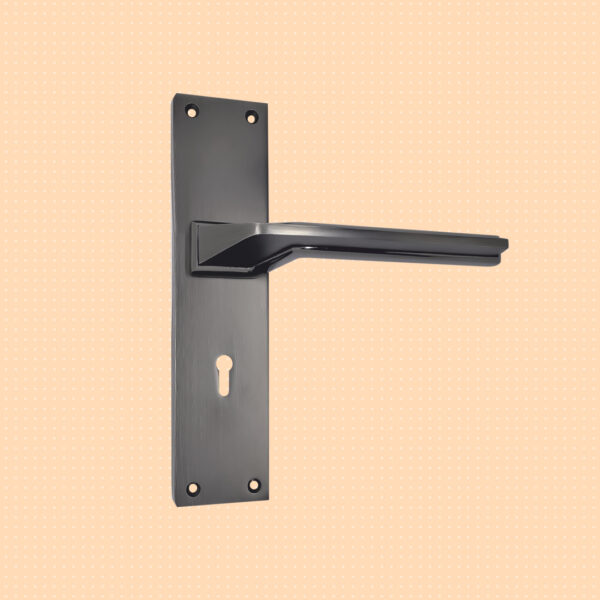 LOTUS Door Handle All Rich