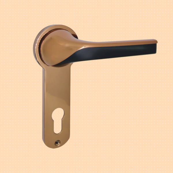 Omega Door handle all rich