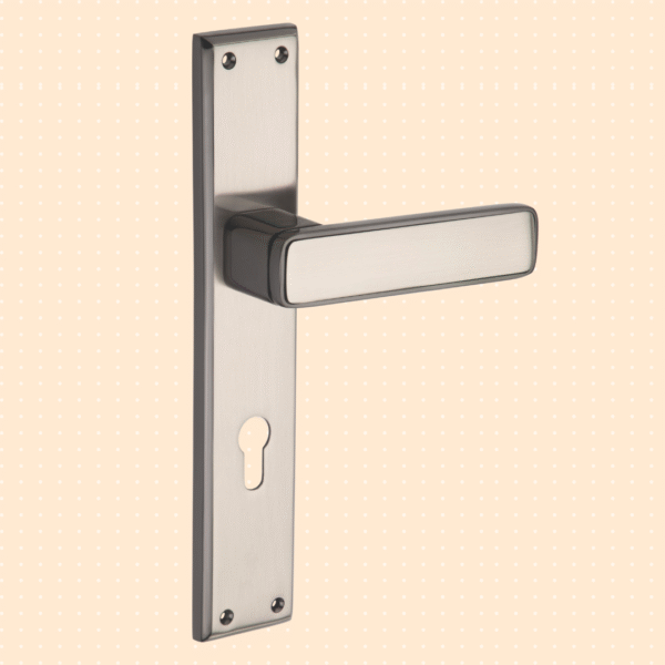 Krysta Mortise handle Black silver