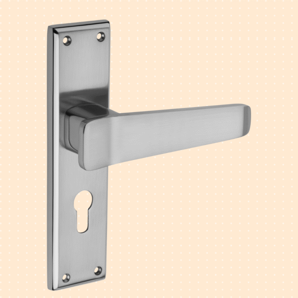 Texa Mortise handle Black silver