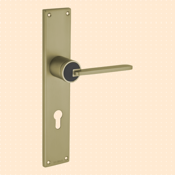Vesta Mortise handle Antique
