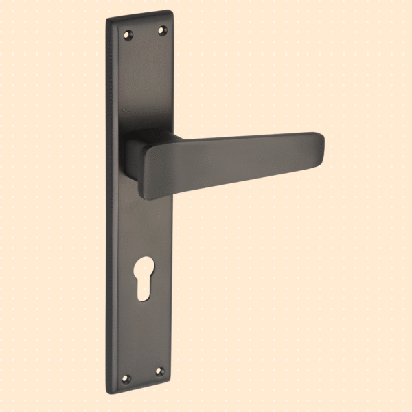 TEXA Mortise Handle Full Fit Locks Finish Black